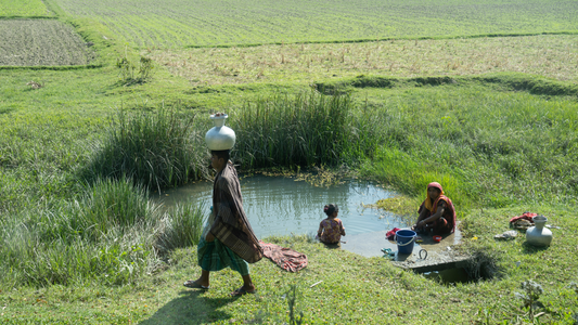WATER IN PANGASHIYA
